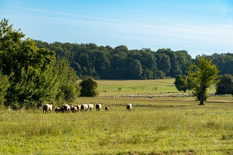 Unsere Wanderungen führen Sie durch weite Wiesen- und Waldlandschaften