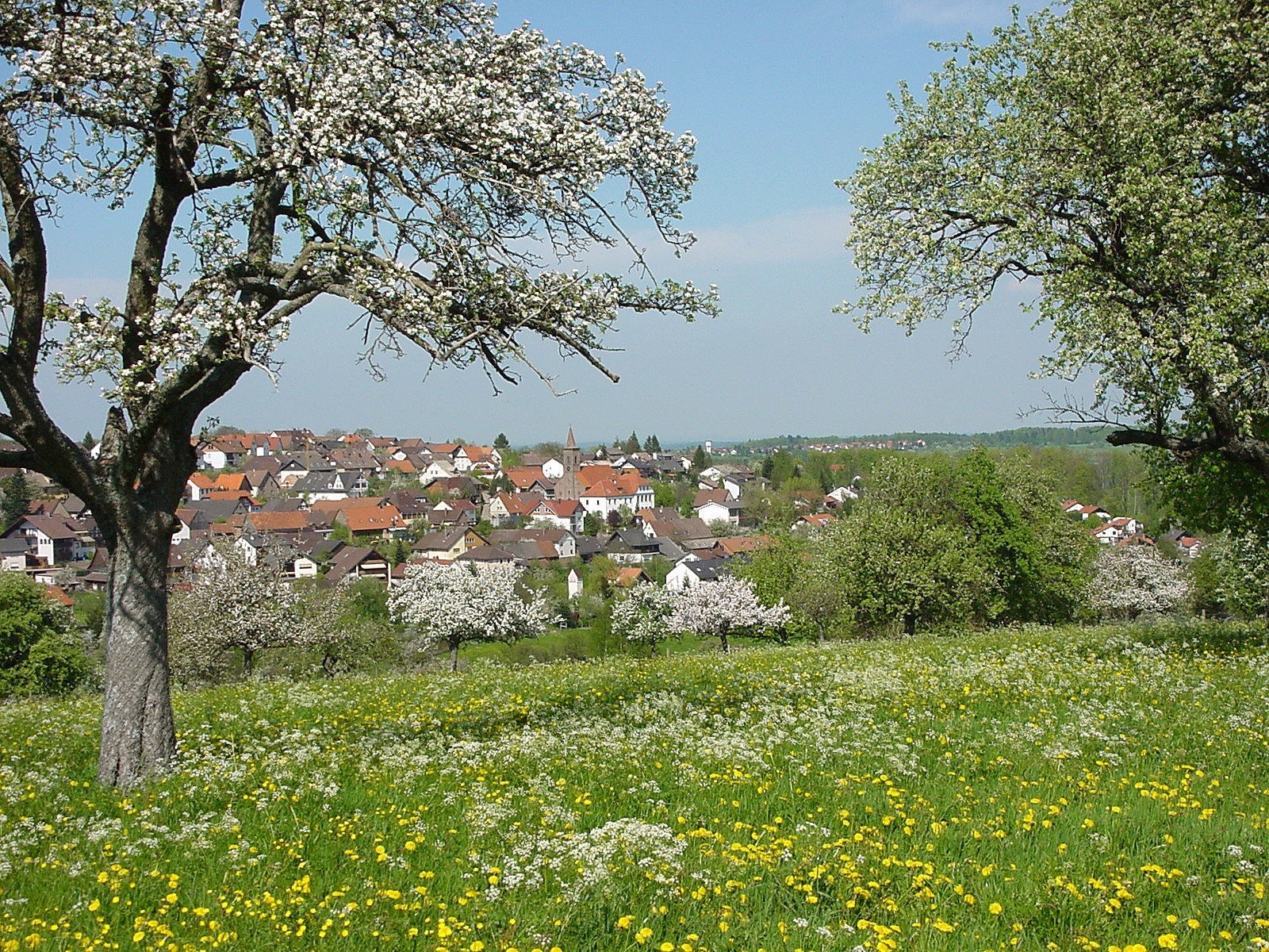 Anblick von Burbach im Frühling